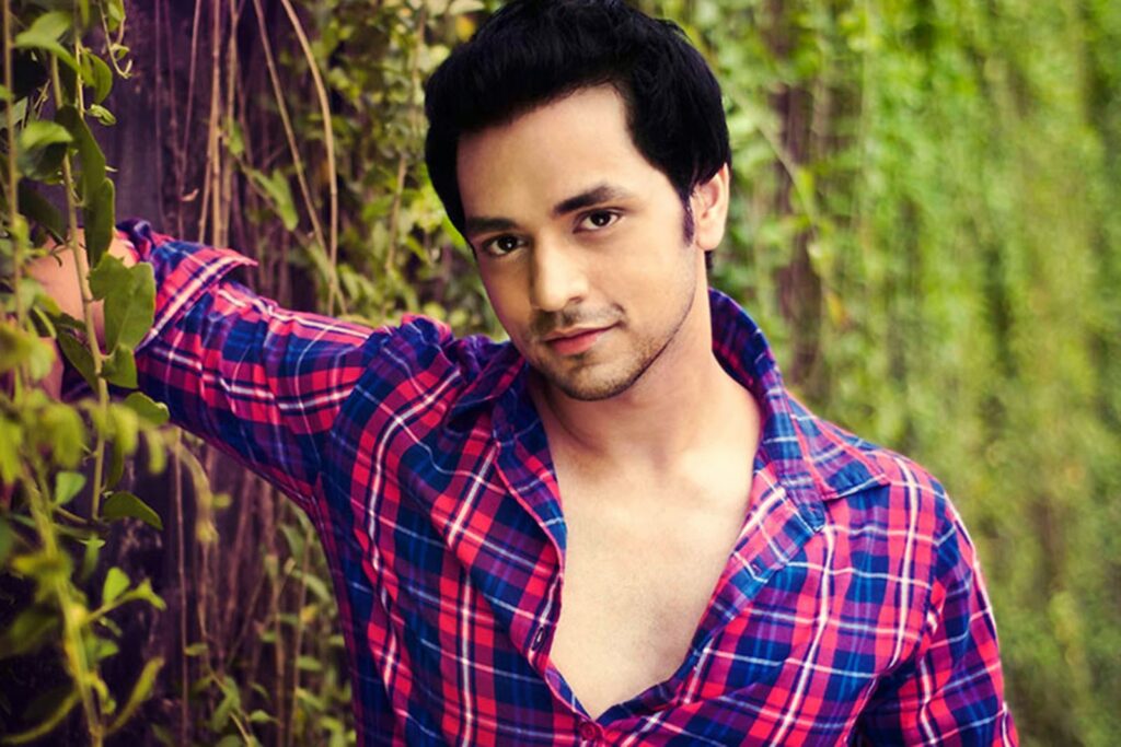 shakti arora new show after ghkkpm