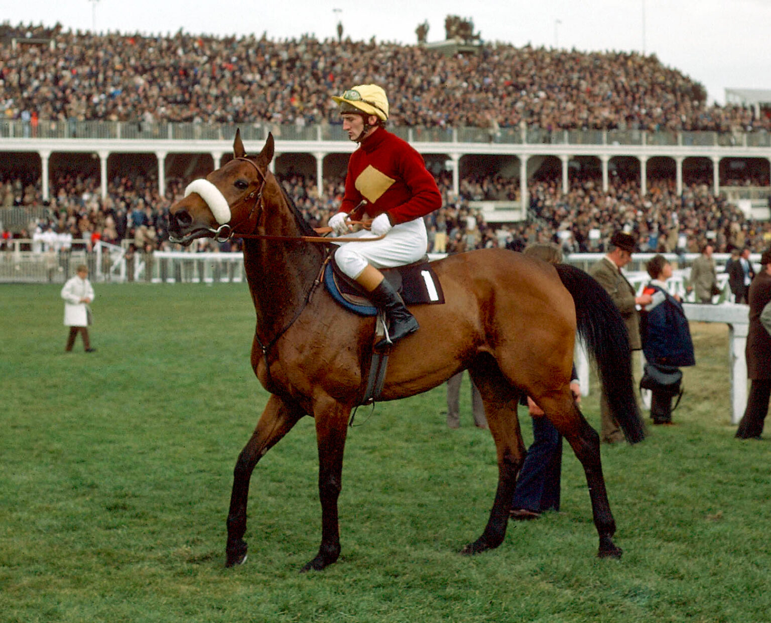 What Were the Most Famous Racehorses in History? FiredOut