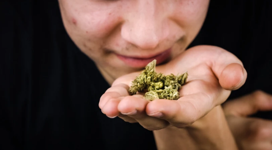 10 Effective Ways to Hide the Smell of Weed - FiredOut