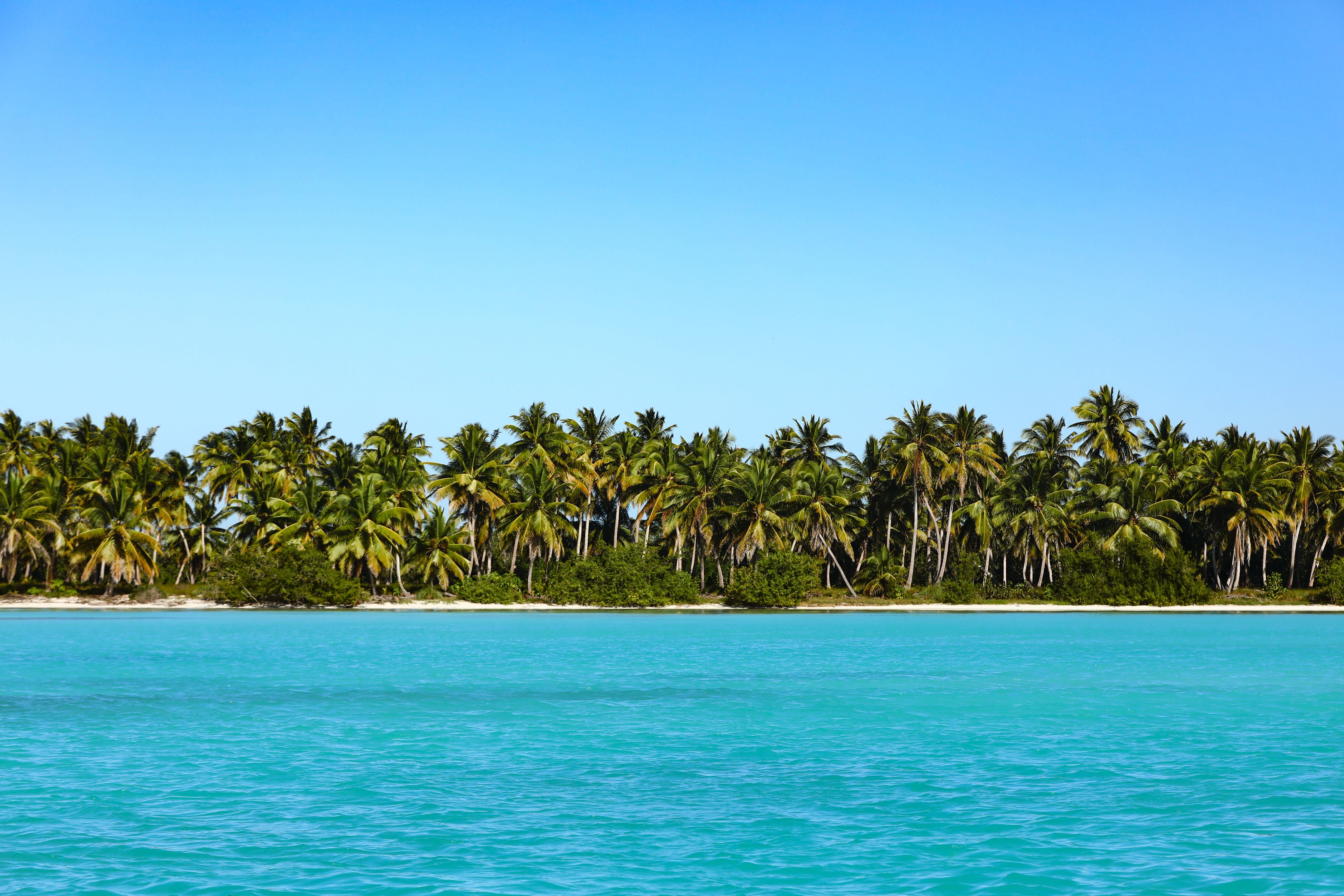Palm-lined tropical island with turquoise water, capturing a sunny winter beach escape.